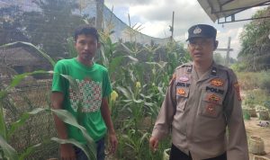 IMG-20260331-WA0028(1)